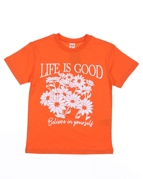 2023_01_30_0066415 2023_01_30_0066415