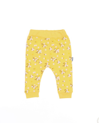 2022_08_12_0056742 2022_08_12_0056742