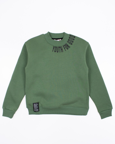 LEYZ KIDS 9843/4 Свитшот утепленный фото