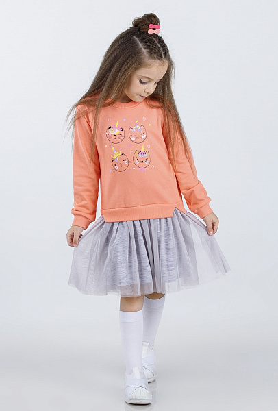 20221025-152.9526_7 20221025-152.9526_7