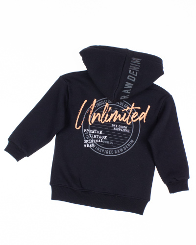 DMB KIDS 4999 Толстовка утепленная DMB KIDS 4999 Толстовка утепленная фото