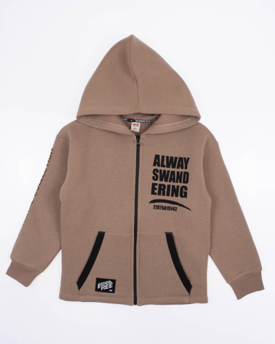 DMB KIDS 4743 Толстовка утепленная DMB KIDS 4743 Толстовка утепленная фото