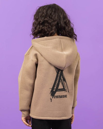 DMB KIDS 4743 Толстовка утепленная DMB KIDS 4743 Толстовка утепленная фото