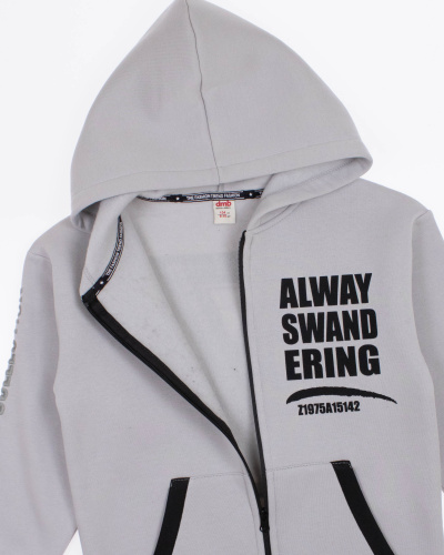 DMB KIDS 4743 Толстовка утепленная DMB KIDS 4743 Толстовка утепленная фото